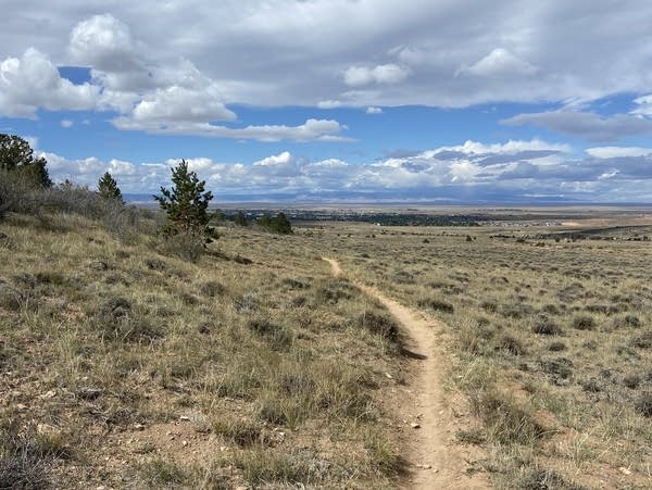 A single trail with sagebrush and pine trees under a partly cloudy blue sky