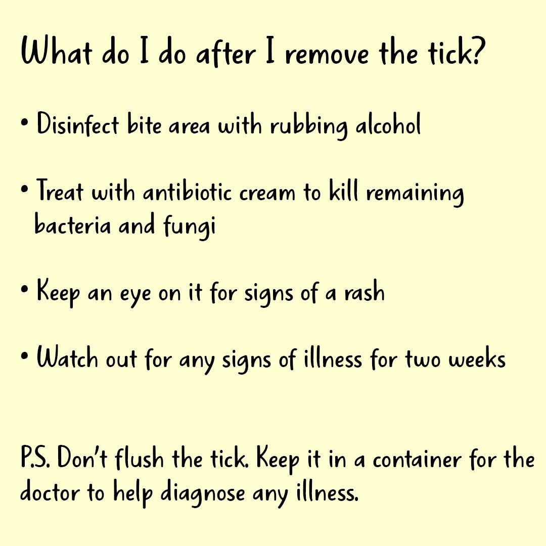 A step-by-step guide to after tick removal care.