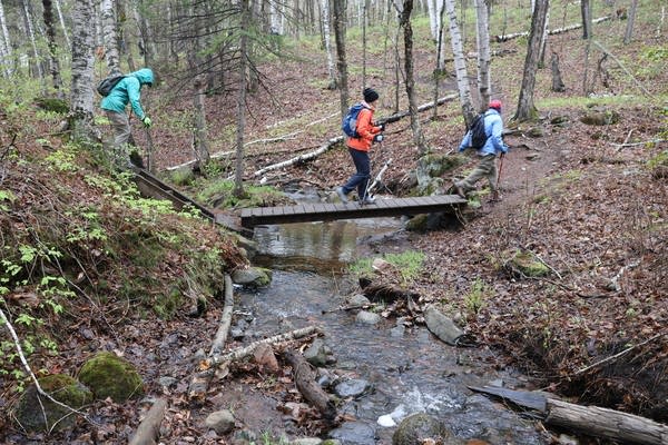 Hikers navigate a narrow wooden bridge across a creek in the woods.