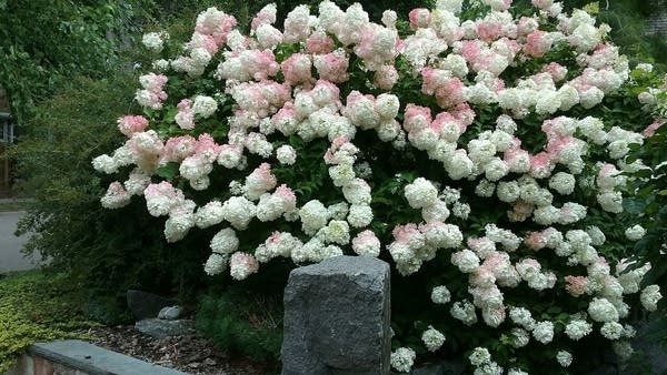 Quiet, comfortable weather for the upcoming week