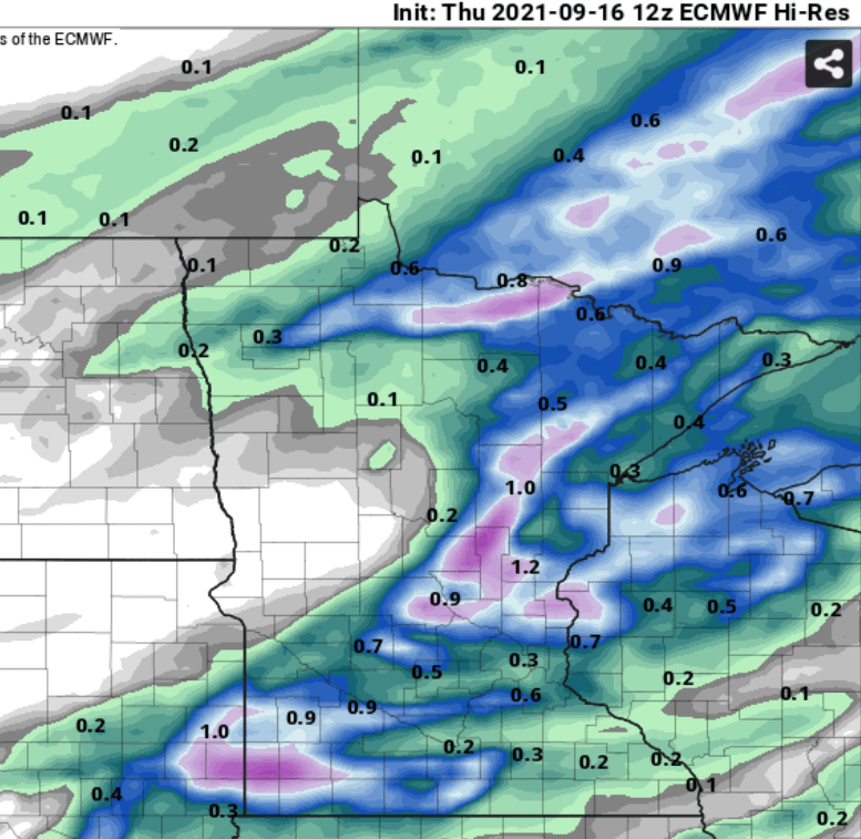 European model (ECMWF) rainfall forecast