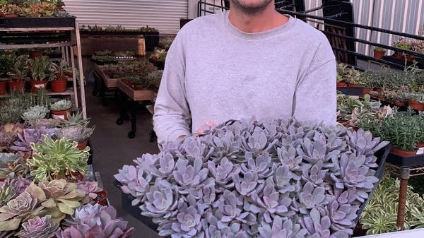 Alex Redlinger is a lifelong lover of succulents, and started his boutique gardening company in 2020.