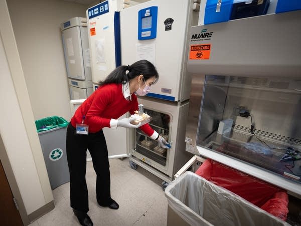 A person uses lab equipment