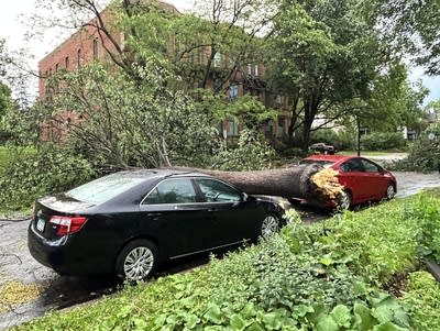 Severe storms down trees, knock out power to thousands across Minnesota