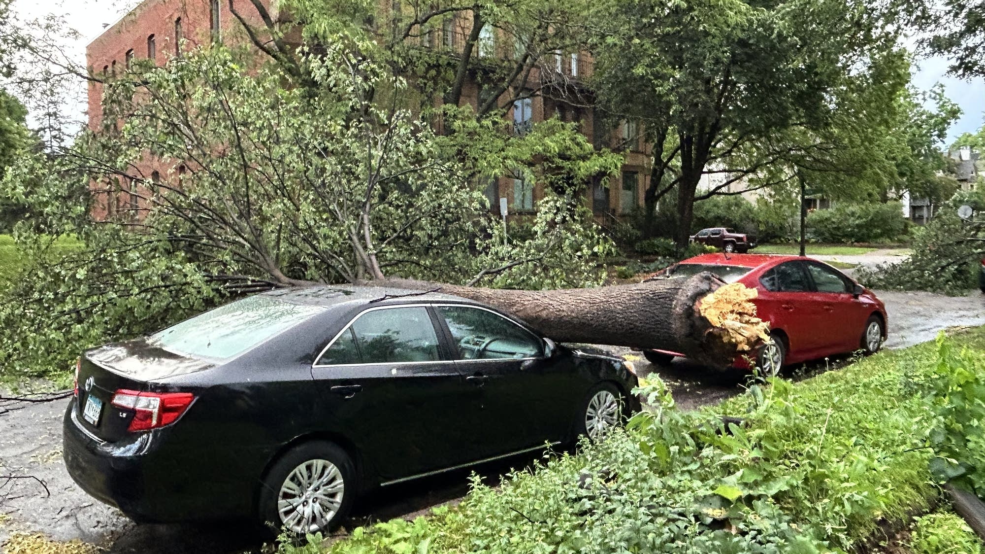 Severe storms down trees, knock out power to thousands across Minnesota ...