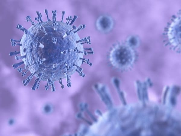 A flu virus