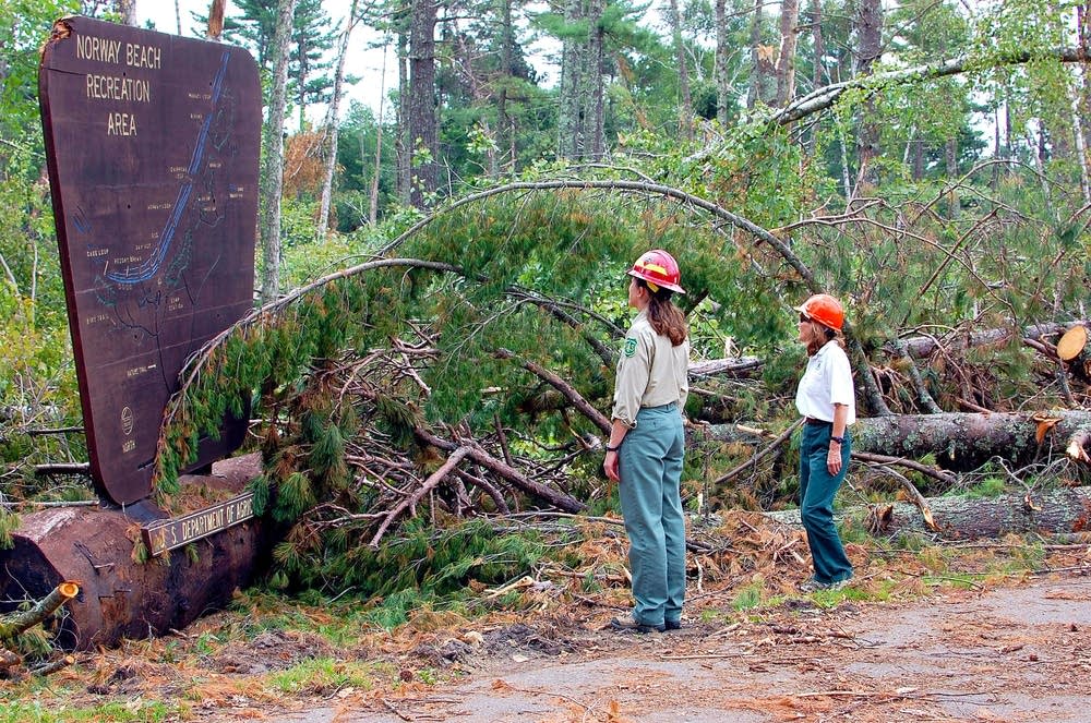 State federal forest managers deal with aftermath of blowdown