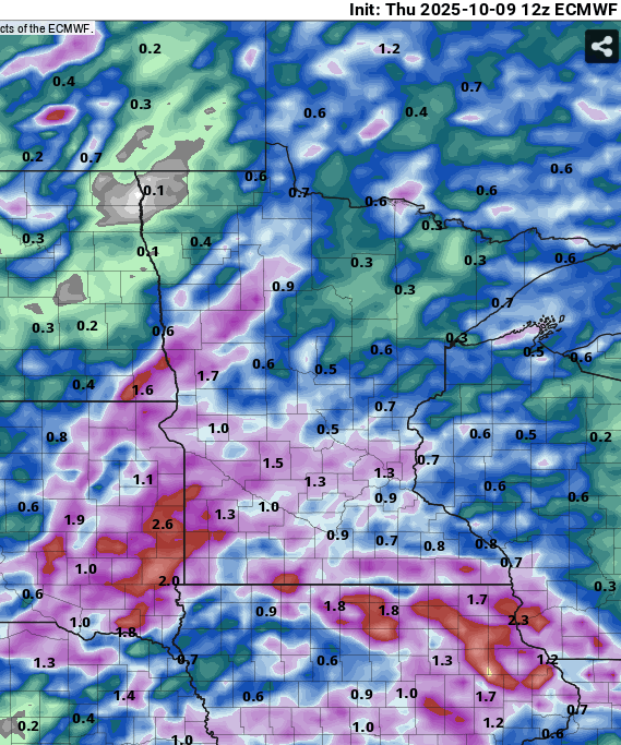 European (ECMWF) model precipitation output