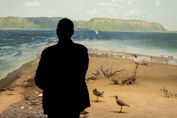 Expand your mind this weekend at one of Minnesota's museums