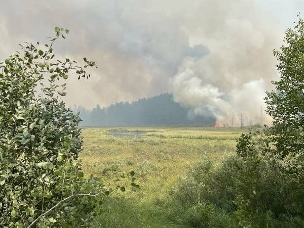Greenwood fire