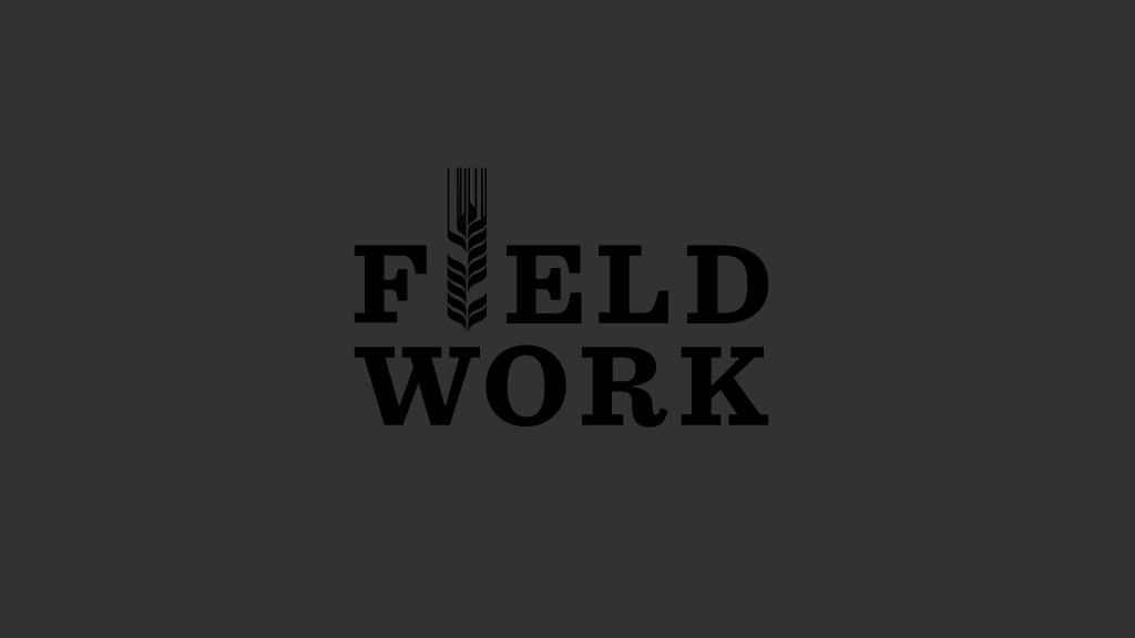 Field Work Fallback Logo