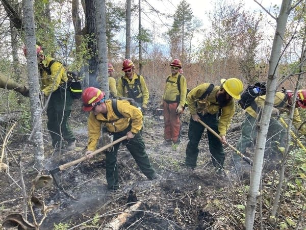 Wildland firefighters construct a fire line