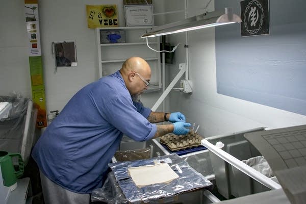Man growing herbs in cell