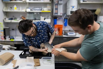 Can genetic engineering turn the tide against Minnesota’s lake invaders?