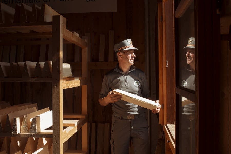 Experts can tell how a piece of wood will resonate