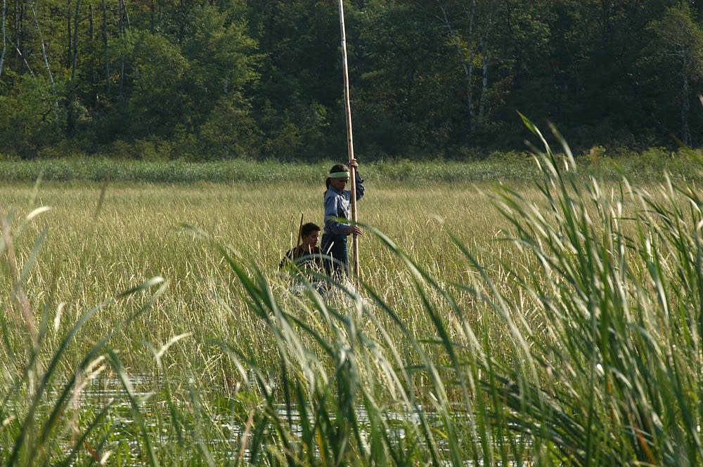 MN DNR cites tribal members in second day of treaty rights challenge