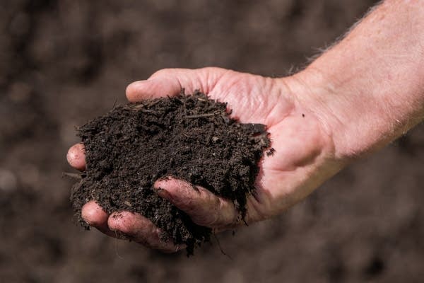 A hand holds black soil.