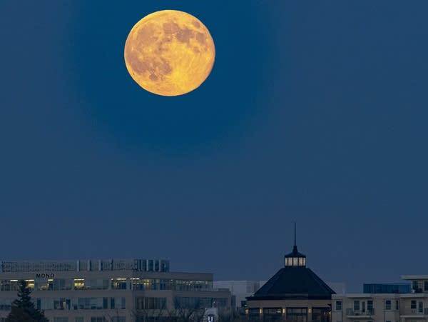 Photos: See the Beaver Moon, the brightest full supermoon of 2025