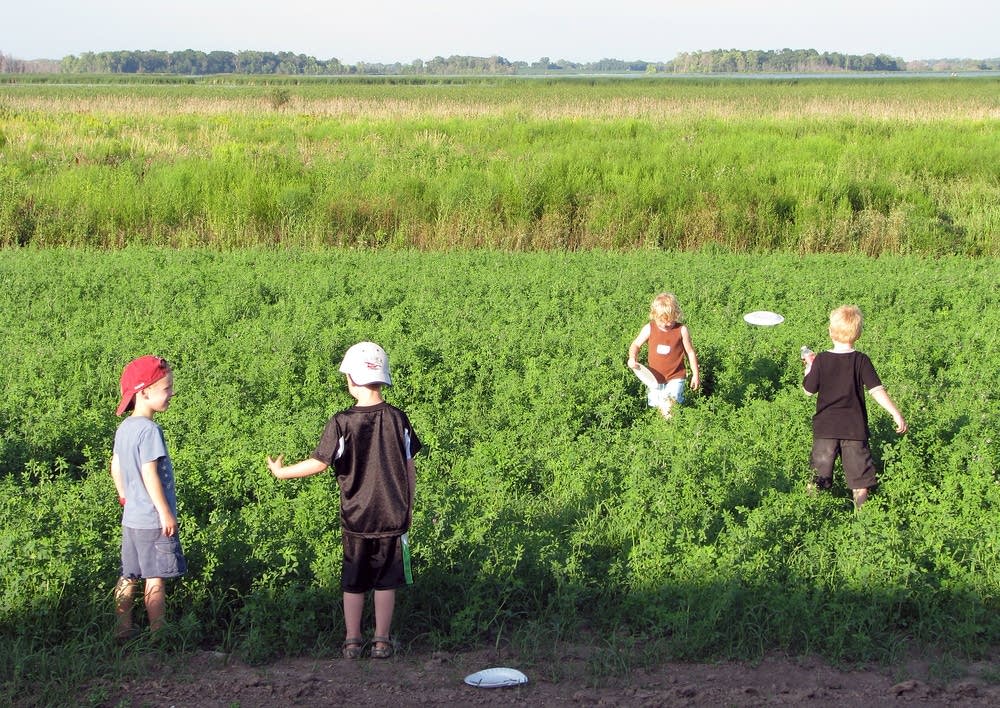 Children playing